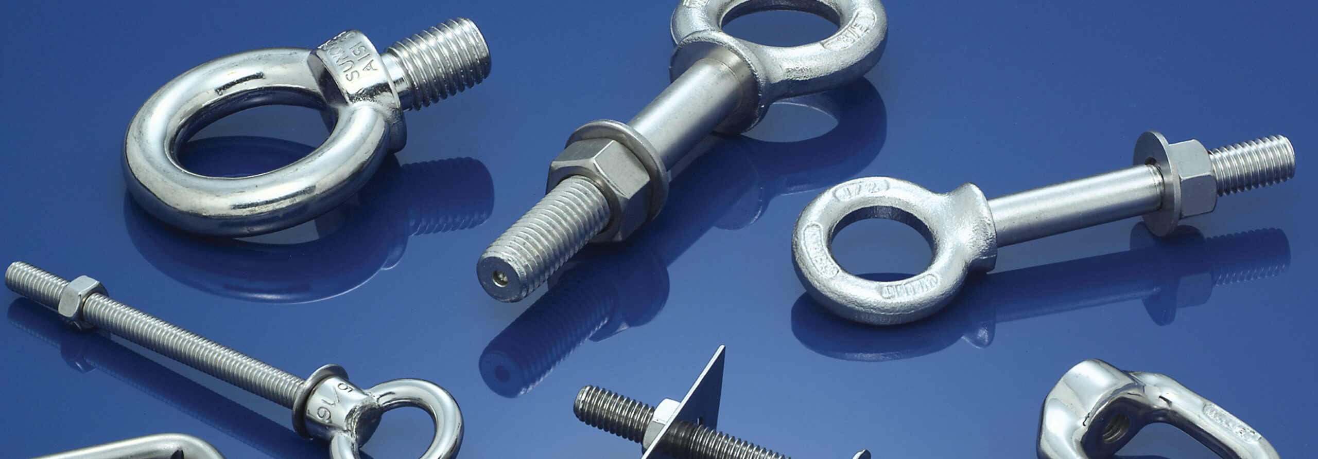 Stainless Steel Eye Bolts